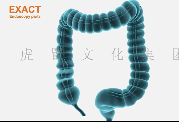 医学动画在不同领域有哪些应用价值-虎置动画