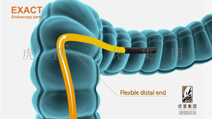 医学三维动画可以应用在哪些领域-虎置动画