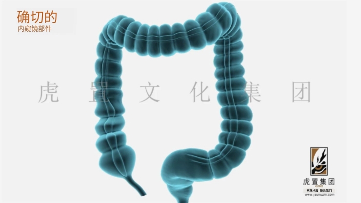 3d医疗动画能用在哪些方面-虎置动画