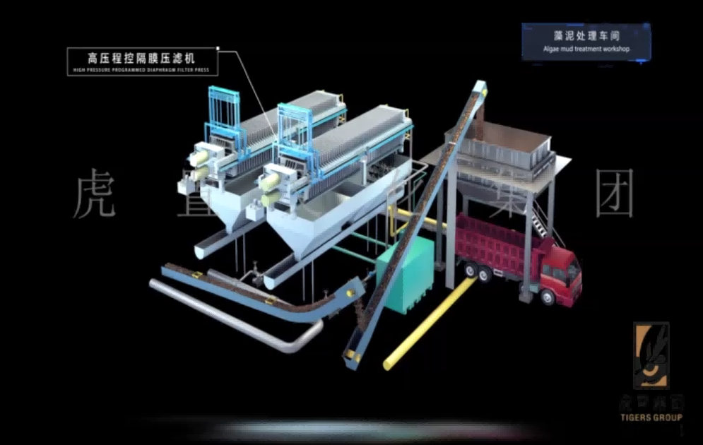 3D动画设计公司怎么选